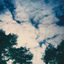 Cover Polaroid Skies