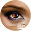 Cover Look Into My Eyes (Original Mix)