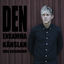 Cover Den ensamma känslan