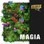 Cover Magia