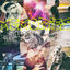 Cover Memories