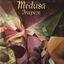 Cover Medusa
