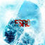 Cover FSR8