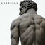 Cover Warriors