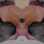 Cover Chronofract