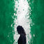 Cover Lady No