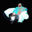 Cover Glow in the Dark