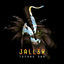 Cover Techno Sax