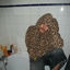 Cover j'crois pas qu'on devrait se voir