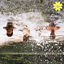 Cover Til Solen Er Sort