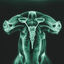 Cover Shark Brain / Dolphin
