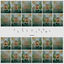 Cover Reflections