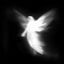 Cover Angel