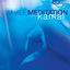 Cover Whale Meditation