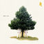 Cover Dehli 9