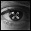 Cover X