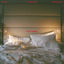 Cover Early Morning