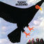 Cover Tucky Buzzard