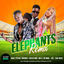 Cover Elephants (Dr Wang Remix)