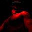 Cover Perish in the Spotlight