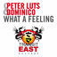 Cover What a Feeling