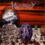 Cover Millennium