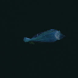 ''