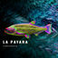 Cover Conciencia