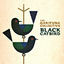 Cover Black Catbird