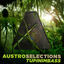 Cover Austro Selections: Tupinimbass