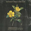 Cover Hibbertia (Reduxe)