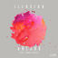 Cover Illusion