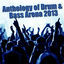 Cover Anthology of Drum & Bass Arena 2013