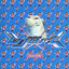 Cover Army Of Me