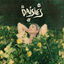 Cover Daisies