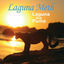 Cover Laguna The Puma