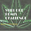 Cover Still Dre Challenge (Remix)