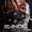 Cover Bandit