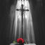 Cover Lost Your Faith