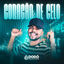 Cover Coração de Gelo