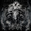 Cover Totenritual