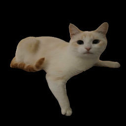 ''
