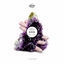Cover Violet Nights