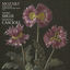Cover Mozart: Sonatas for Fortepiano and Violin Vol. 1