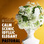 Cover Classical Collection - Pastoral