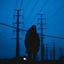 Cover First Light