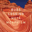 Cover Metamorphism
