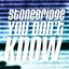 Cover StoneBridge - You Dont Know