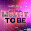 Cover Meant To Be