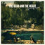 Cover All We Ever Knew